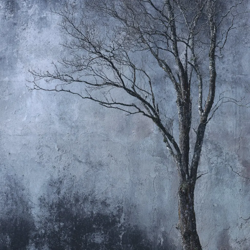 Crown of the Fallen Shadow (Pop Orchestra)